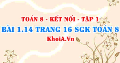 Bài 1.14 trang 16 SGK Toán 8 tập 1 Kết nối tri thức